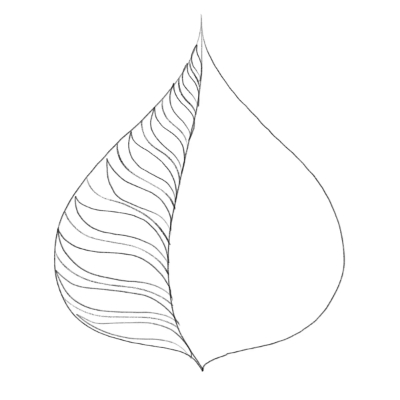 simple line drawings of leaves