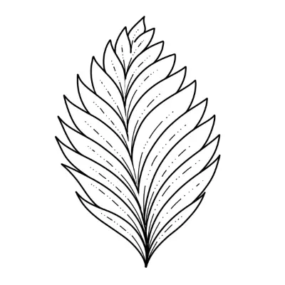 Hydrangea leaf sketch. | Petals and Paints